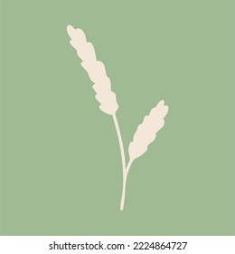 Plant illustration, spike branch. Unique print in boh style. Perfect for poster or postcard template, trendy t-shirt design.