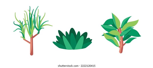 Plant illustration vector in green with stemp and foliage leaf 