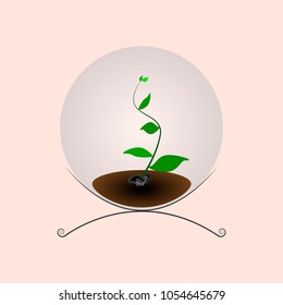 The plant inside the ball on the stand. vector
