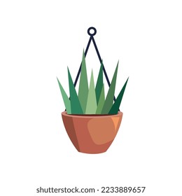 planta dentro de la olla de suspensión sobre fondo blanco