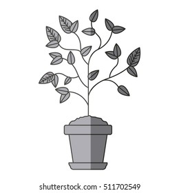 Plant inside pot design