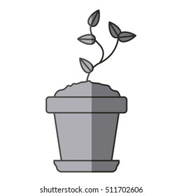 Plant inside pot design