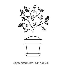 Plant inside pot design