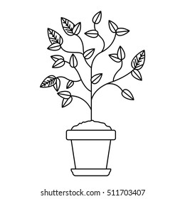 Plant inside pot design