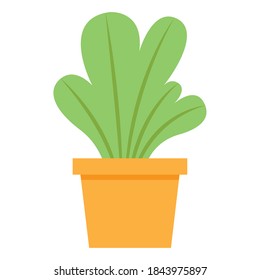 Plant inside pot design of Floral nature garden ornament botany decoration beauty and flora theme Vector illustration