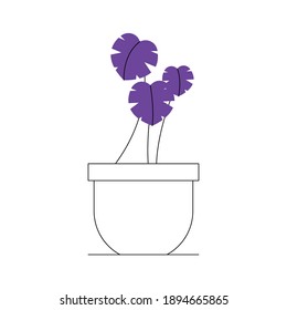 Plant inside pot design of Floral nature garden and ornament theme Vector illustration