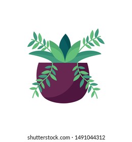Plant inside pot design, Garden ornament nature botany natural and floral theme Vector illustration