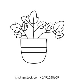 Plant inside pot design, Garden ornament nature botany natural and floral theme Vector illustration