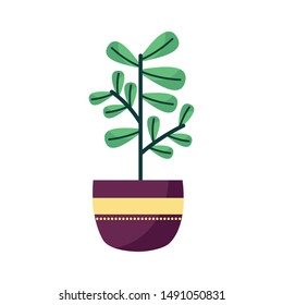 Plant inside pot design, Garden ornament nature botany natural and floral theme Vector illustration