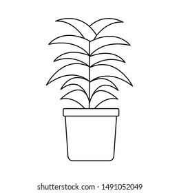 Plant inside pot design, Garden ornament nature botany natural and floral theme Vector illustration
