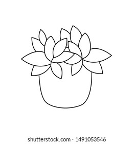 Plant inside pot design, Garden ornament nature botany natural and floral theme Vector illustration