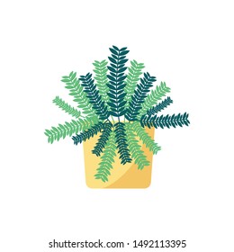 Plant inside pot design, Garden ornament nature botany natural and floral theme Vector illustration