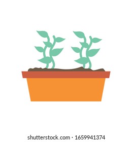 Plant inside pot flat style icon design of Floral nature garden ornament botany decoration beauty and flora theme Vector illustration