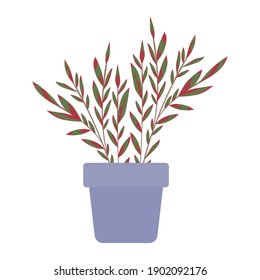 plant inside a pot with green and red leaves vector illustration design