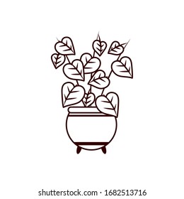 plant inside pot line style icon design of Floral nature garden ornament botany decoration beauty and flora theme Vector illustration