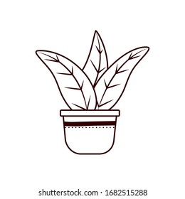Planta dentro de la línea de cacerola diseño ícono de jardín floral adorno botánica decoración belleza y flora tema Vector ilustración