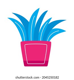 Planta dentro de la olla sobre fondo blanco