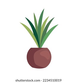plant inside sphere pot on white background