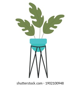 plant inside a tall pot vector illustration design