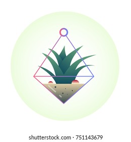 Plant isolate icon. Succulents