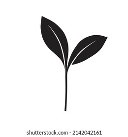 plant isolated on white, vector graphics artwork