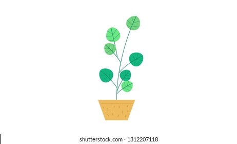 Plant isolated vector illustration