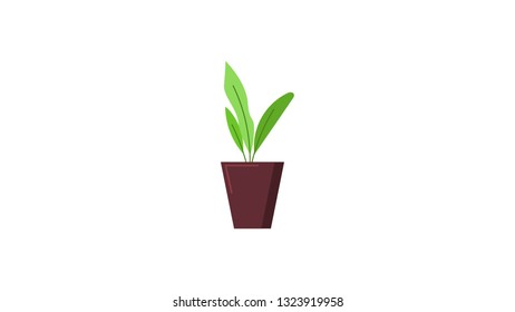 Plant isolated vector illustration