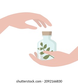 Plant in a jar. Hand holding a bottle of herbal remedies. Concept of alternative medicine, phytotherapy, homeopathy etc.