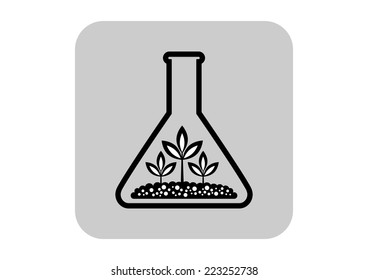 Plant in laboratory glass