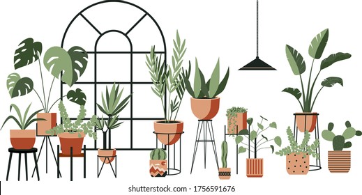 Plant lady green house. Set of cute plants in pots, planters, cacti, tropical leaves. Urban jungle banner, greeting card print. House interior decor elements. Houseplants growing, Home gardening