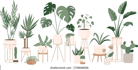 Plant lady green house. Set of cute plants in pots, planters, cacti, tropical leaves. Urban jungle banner, greeting card print. House interior decor elements. Houseplants growing, Home gardening