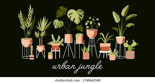 Plant lady green house. Set of cute plants in pots, planters, cacti, tropical leaves. Urban jungle banner, greeting card print. House interior decor elements. Houseplants growing, Home gardening