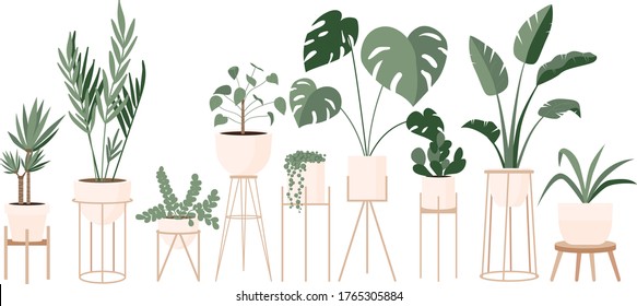 Plant lady green house. Set of cute plants in pots, planters, cacti, tropical leaves. Urban jungle banner, greeting card print. House interior decor elements. Houseplants growing, Home gardening