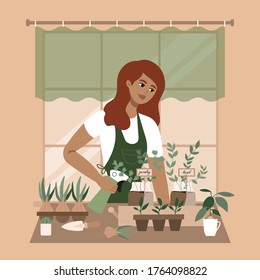 Plant lady watering houseplants, greenery, basil, onion, parsley. Set of cute plants in pots, kitchen garden. Urban jungle banner, greeting card print.  Houseplants growing,Young woman gardening hobby