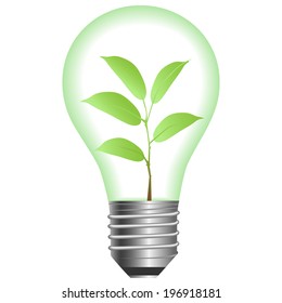 Plant in lamp on a white background . Vector illustration