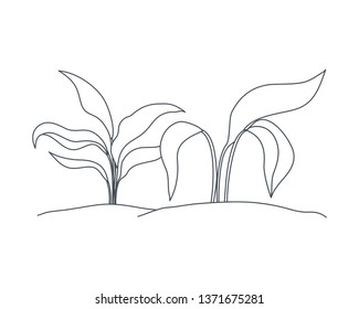 plant in landscape isolated icon