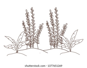 plant in landscape isolated icon