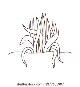 plant in landscape isolated icon