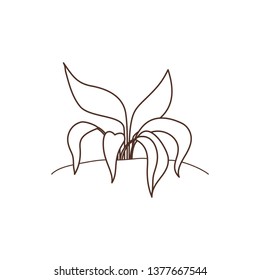 plant in landscape isolated icon