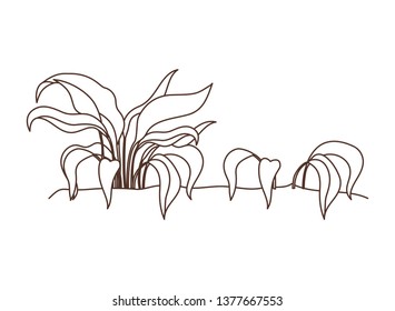 plant in landscape isolated icon