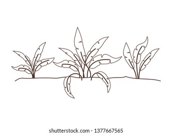 plant in landscape isolated icon