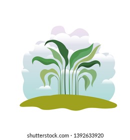 plant in landscape isolated icon