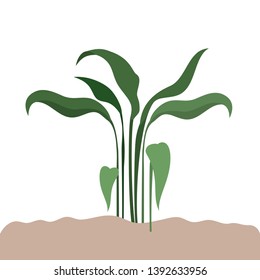plant in landscape isolated icon