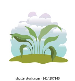 plant in landscape isolated icon
