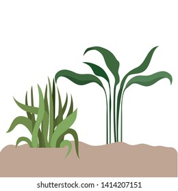 plant in landscape isolated icon
