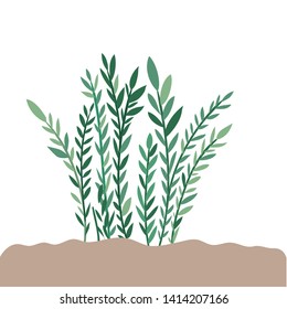 plant in landscape isolated icon