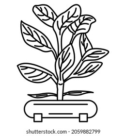 A plant with large leaves in a pot to create a microclimate in a room, office. Vector icon, outline, isolated, 48x48 pixel.
