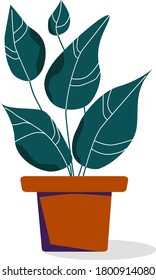 Plant with large leaves in a pot.  Single flat illustration vector