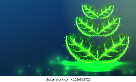 Plant , leaf. Abstract low Poly Wireframe Mesh Design. Ecology Concept. Vector Illustration