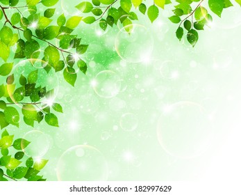 Plant leaf background